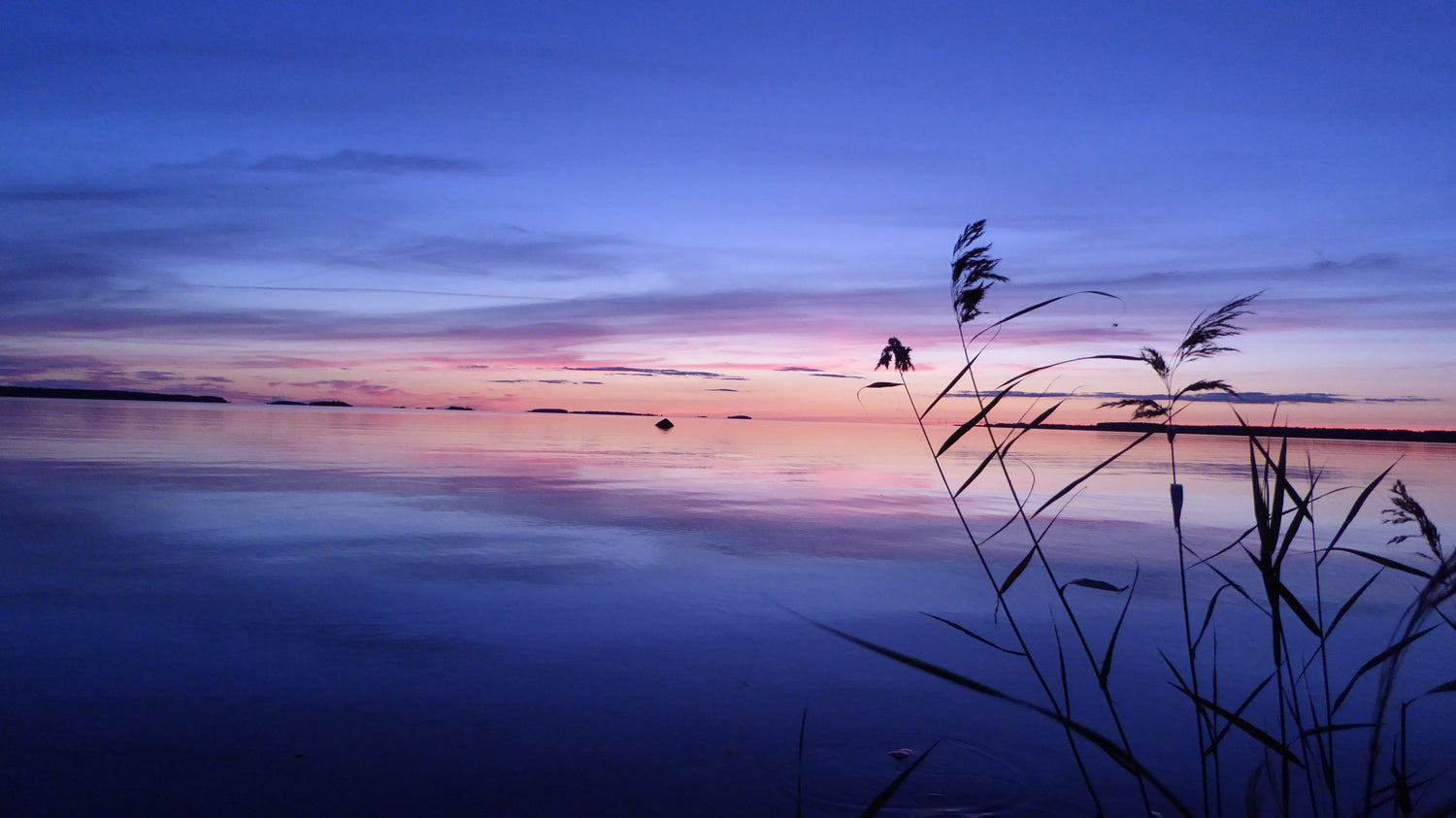 Living Horizons